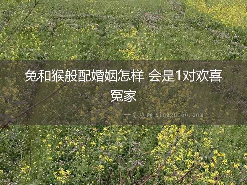 兔和猴般配婚姻怎樣 會(huì)是1對(duì)歡喜冤家