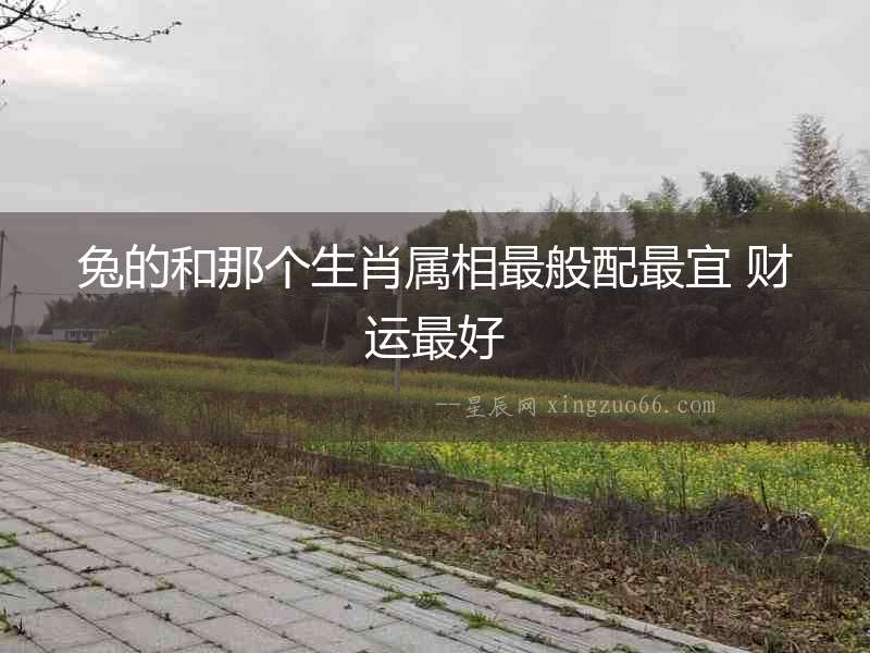 兔的和那個(gè)生肖屬相最般配最宜 財(cái)運(yùn)最好