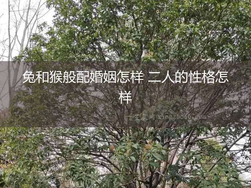 兔和猴般配婚姻怎樣 二人的性格怎樣