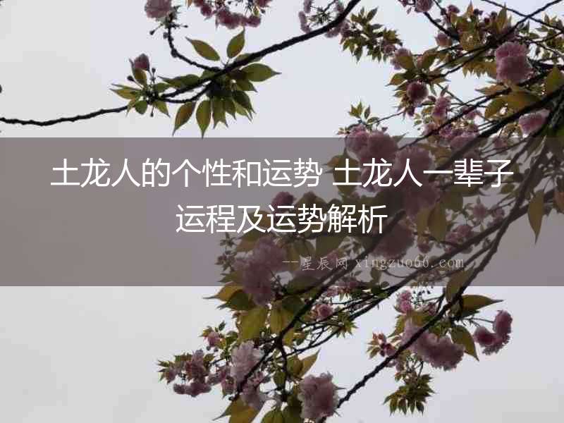 土龍人的個性和運勢 土龍人一輩子運程及運勢解析