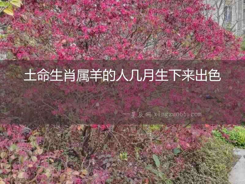 土命生肖屬羊的人幾月生下來出色