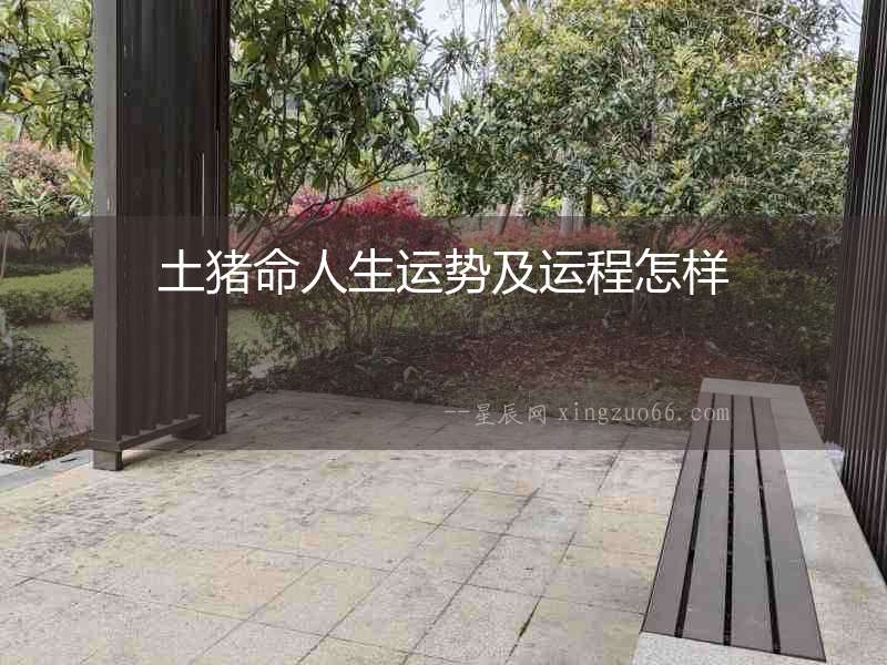 土豬命人生運勢及運程怎樣