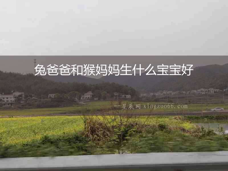 兔爸爸和猴媽媽生什么寶寶好