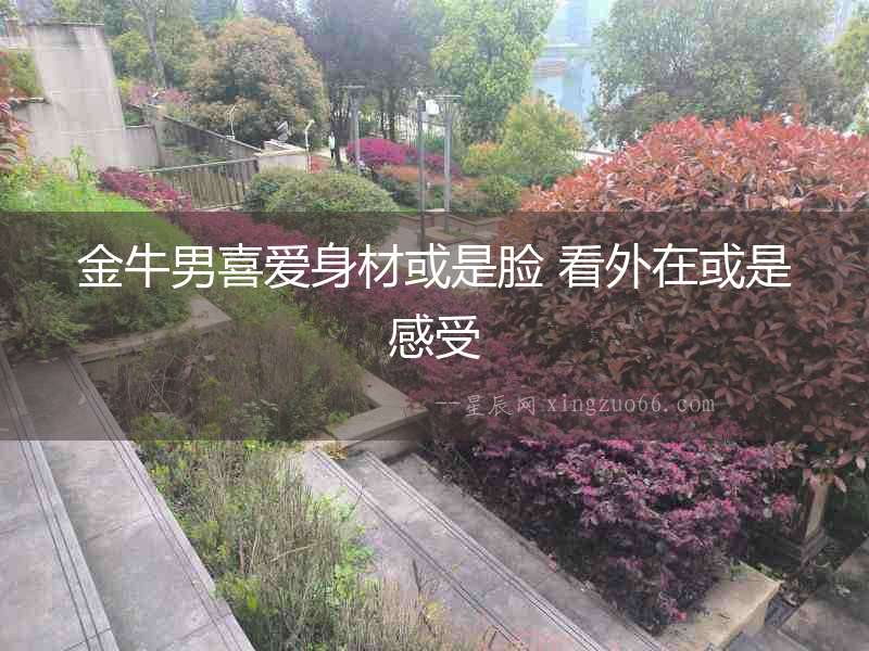 金牛男喜愛身材或是臉 看外在或是感受