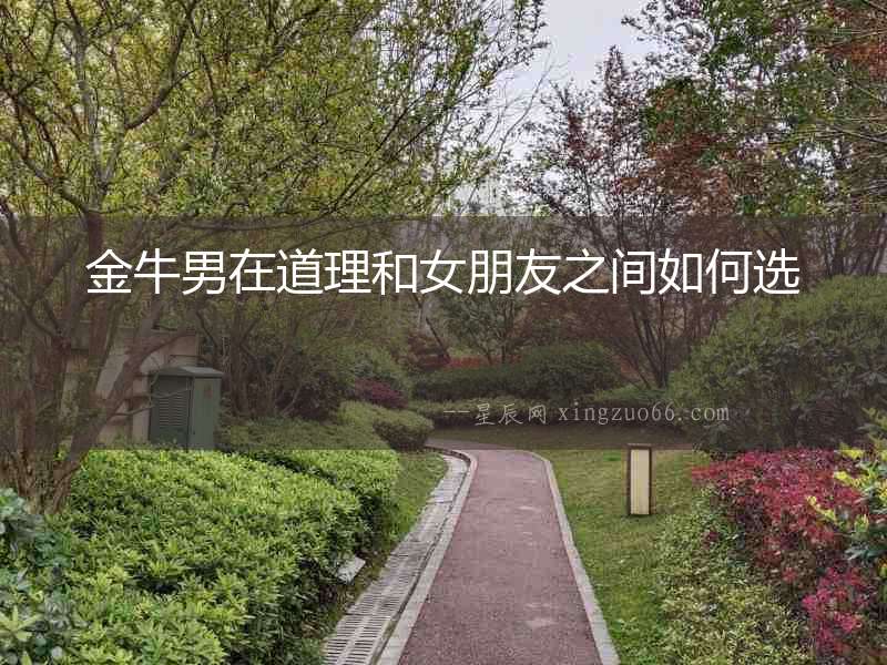 金牛男在道理和女朋友之間如何選