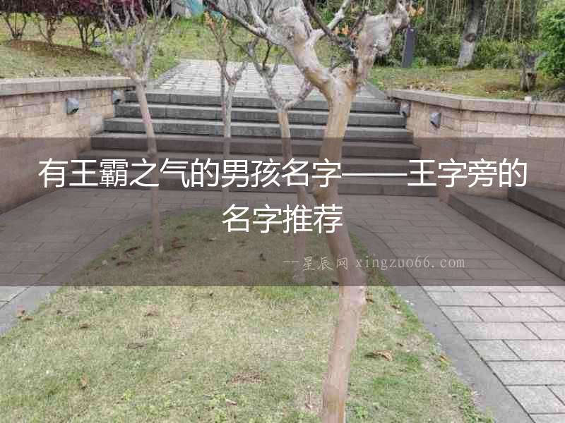 有王霸之氣的男孩名字——王字旁的名字推薦