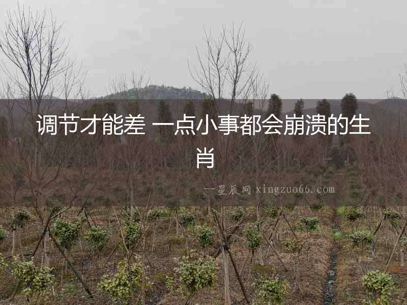 調節才能差 一點小事都會崩潰的生肖