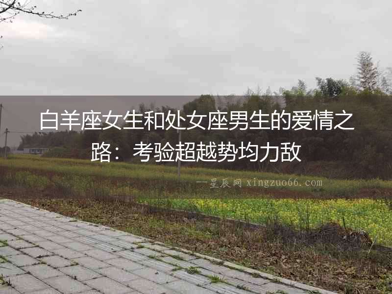 白羊座女生和處女座男生的愛情之路：考驗超越勢均力敵