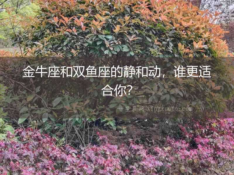金牛座和雙魚座的靜和動(dòng)，誰(shuí)更適合你？