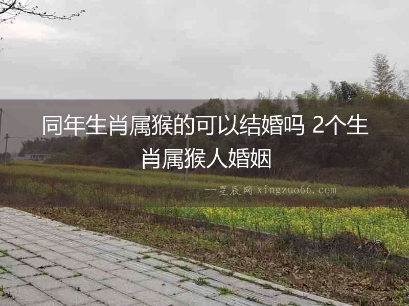 同年生肖屬猴的可以結婚嗎 2個生肖屬猴人婚姻