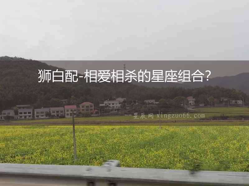 獅白配-相愛相殺的星座組合？