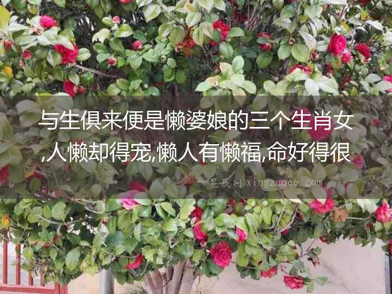 與生俱來便是懶婆娘的三個生肖女,人懶卻得寵,懶人有懶福,命好得很