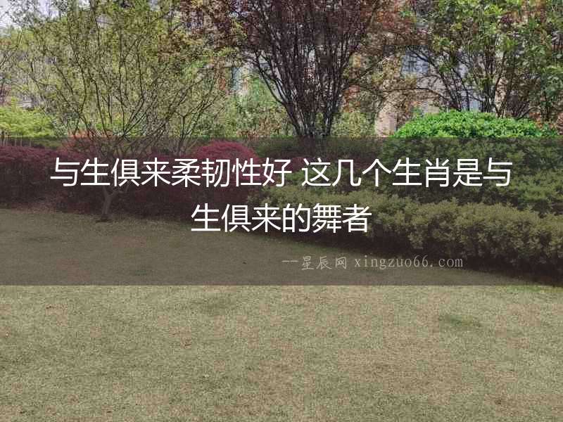 與生俱來(lái)柔韌性好 這幾個(gè)生肖是與生俱來(lái)的舞者
