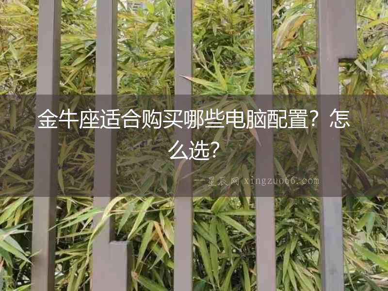 金牛座適合購買哪些電腦配置？怎么選？