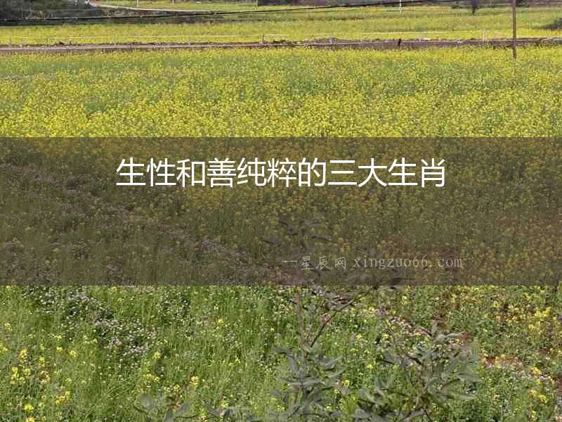 生性和善純粹的三大生肖