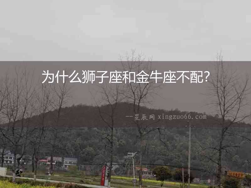 為什么獅子座和金牛座不配？