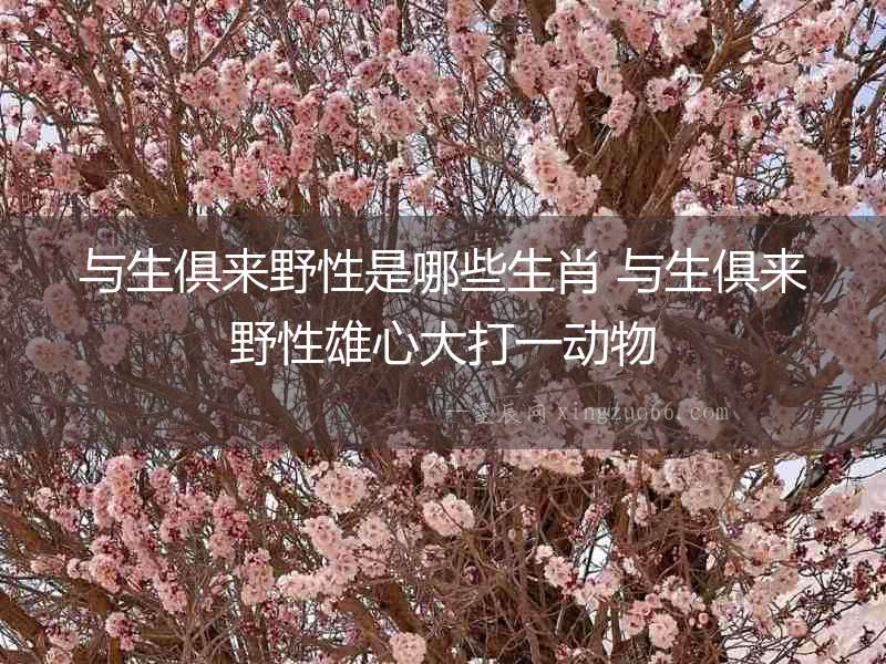 與生俱來野性是哪些生肖 與生俱來野性雄心大打一動物