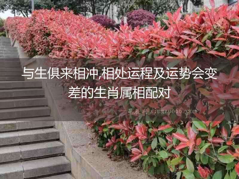 與生俱來相沖,相處運程及運勢會變差的生肖屬相配對