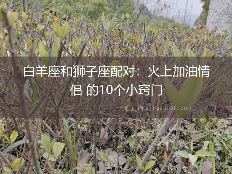 白羊座和獅子座配對：火上加油情侶 的10個小竅門