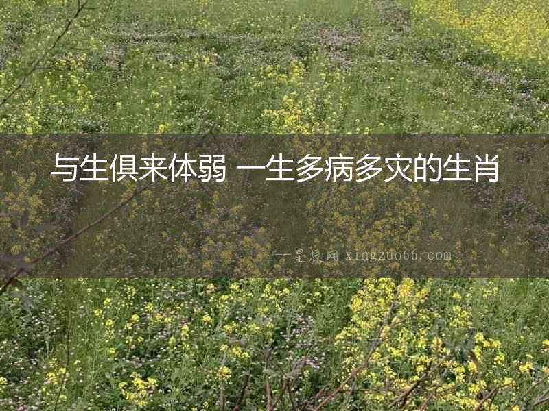 與生俱來體弱 一生多病多災的生肖