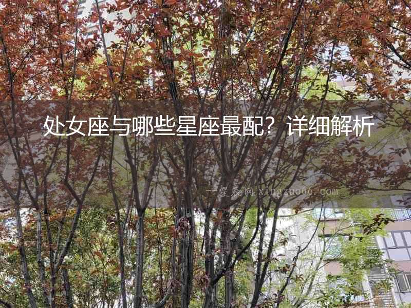 處女座與哪些星座最配？詳細解析