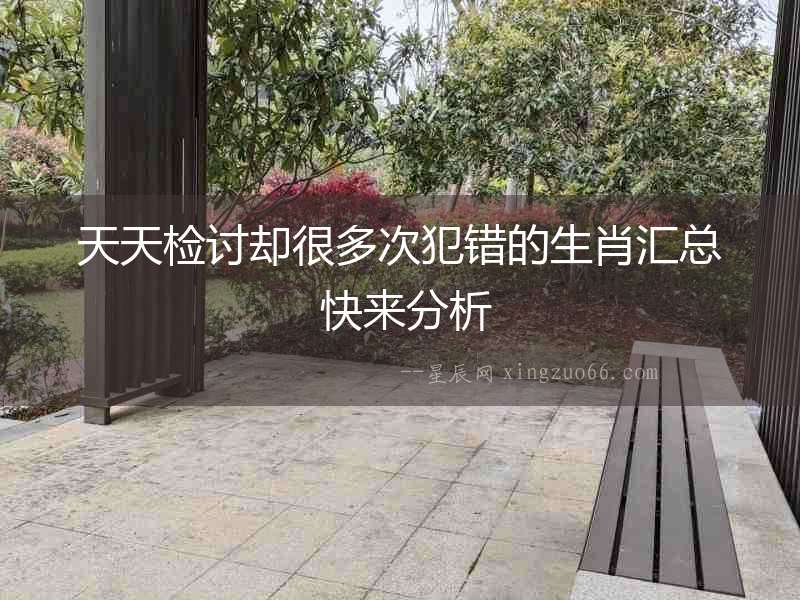 天天檢討卻很多次犯錯的生肖匯總 快來分析