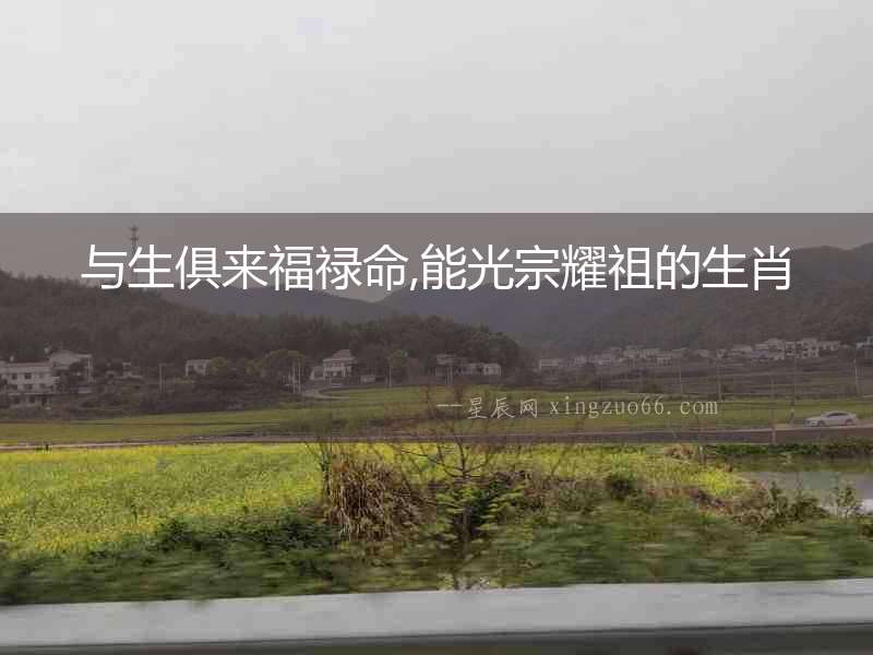 與生俱來福祿命,能光宗耀祖的生肖