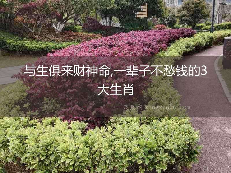 與生俱來財神命,一輩子不愁錢的3大生肖