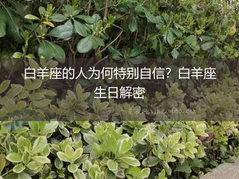 白羊座的人為何特別自信？白羊座生日解密