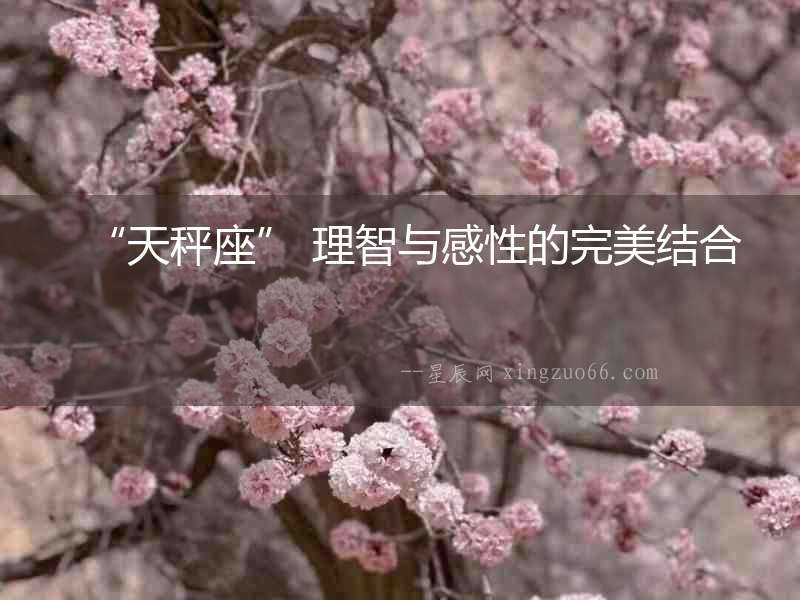 “天秤座” 理智與感性的完美結合