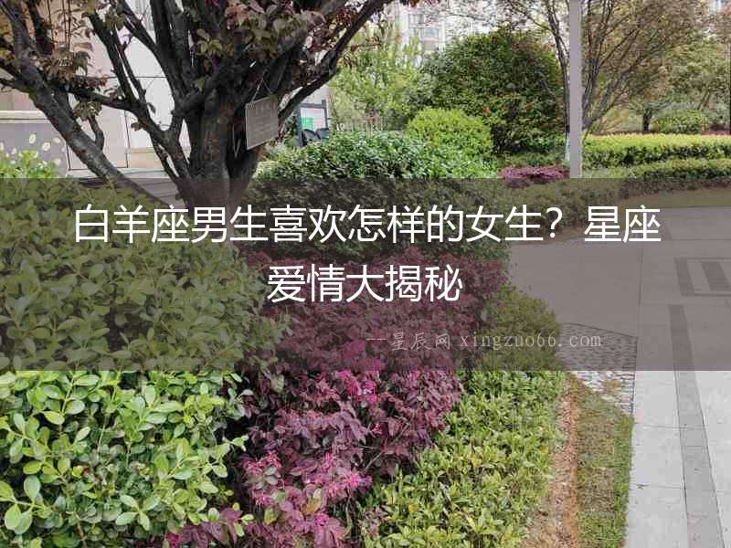 白羊座男生喜歡怎樣的女生？星座愛情大揭秘