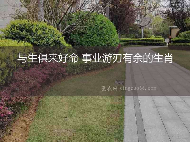 與生俱來好命 事業(yè)游刃有余的生肖