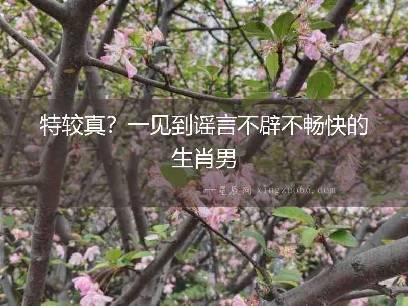 特較真？一見到謠言不辟不暢快的生肖男