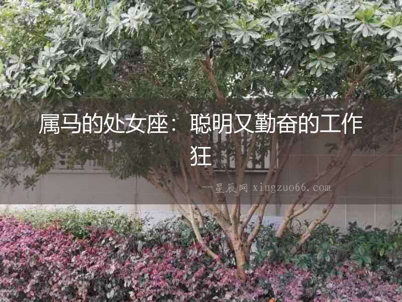 屬馬的處女座：聰明又勤奮的工作狂