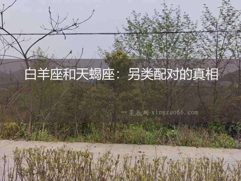 白羊座和天蝎座：另類配對(duì)的真相