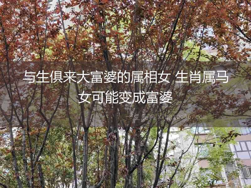與生俱來大富婆的屬相女 生肖屬馬女可能變成富婆