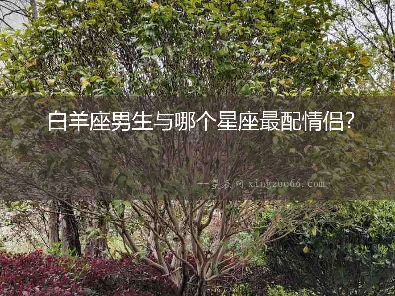  白羊座男生與哪個星座最配情侶？