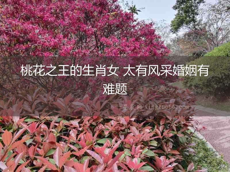 桃花之王的生肖女 太有風采婚姻有難題
