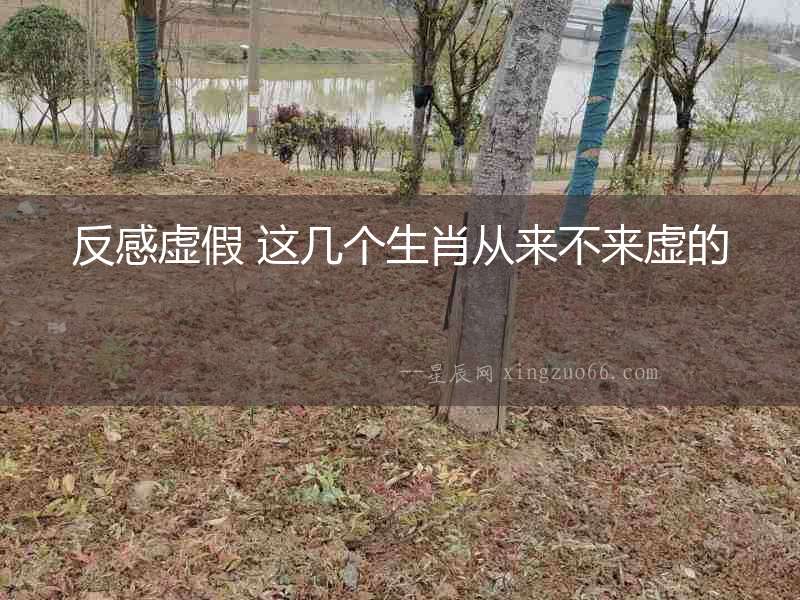 反感虛假 這幾個生肖從來不來虛的