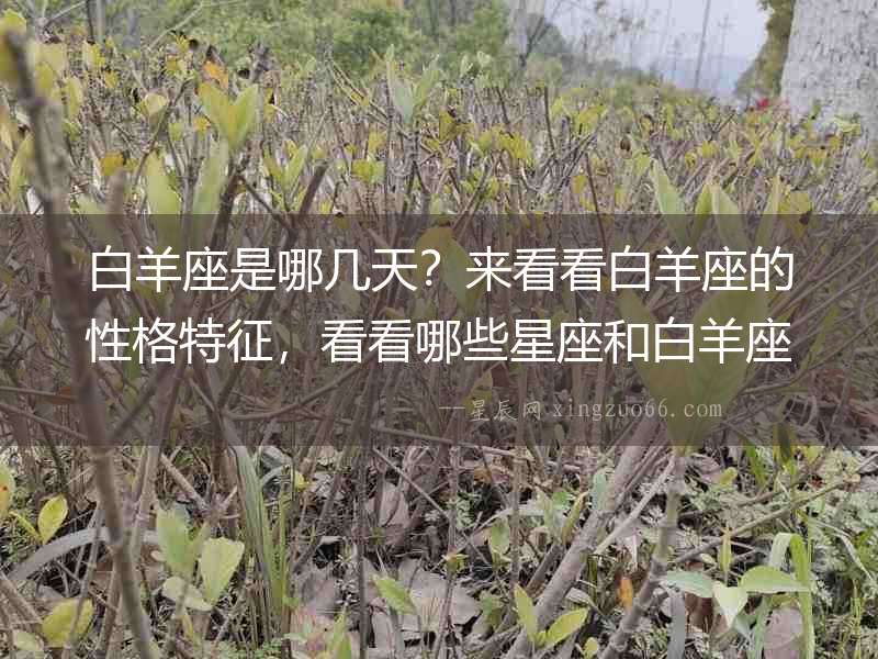 白羊座是哪幾天？來看看白羊座的性格特征，看看哪些星座和白羊座能夠產生火花