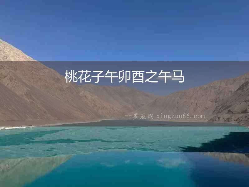 桃花子午卯酉之午馬