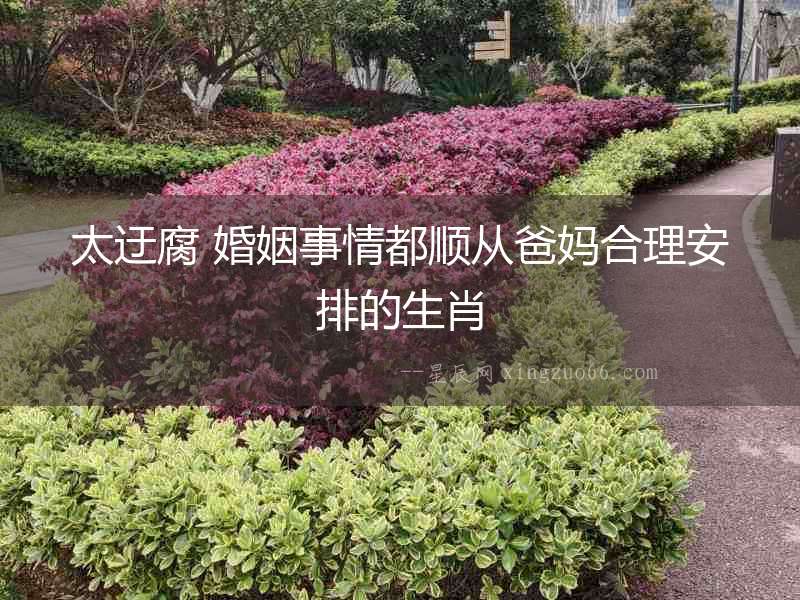 太迂腐 婚姻事情都順從爸媽合理安排的生肖