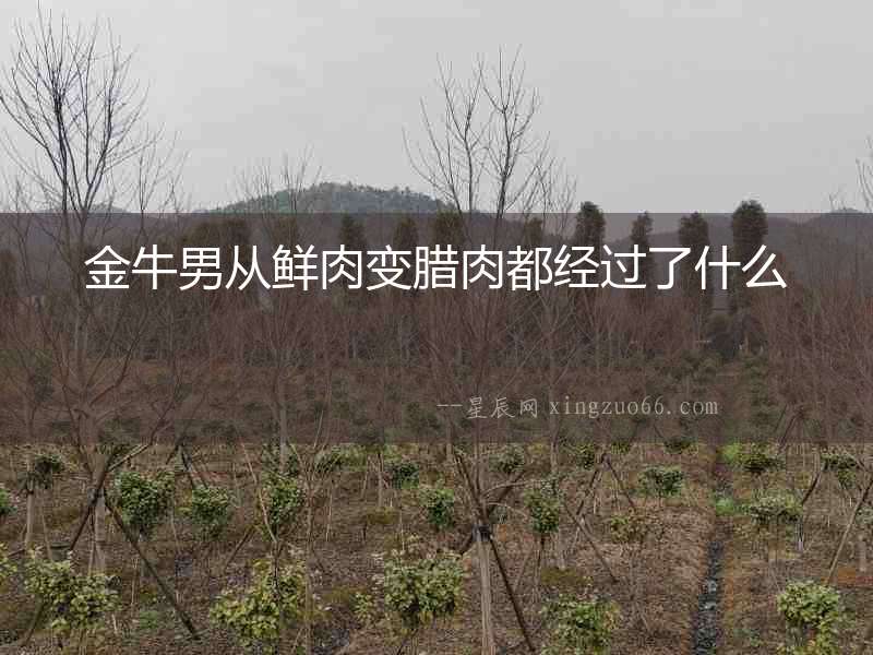 金牛男從鮮肉變臘肉都經過了什么