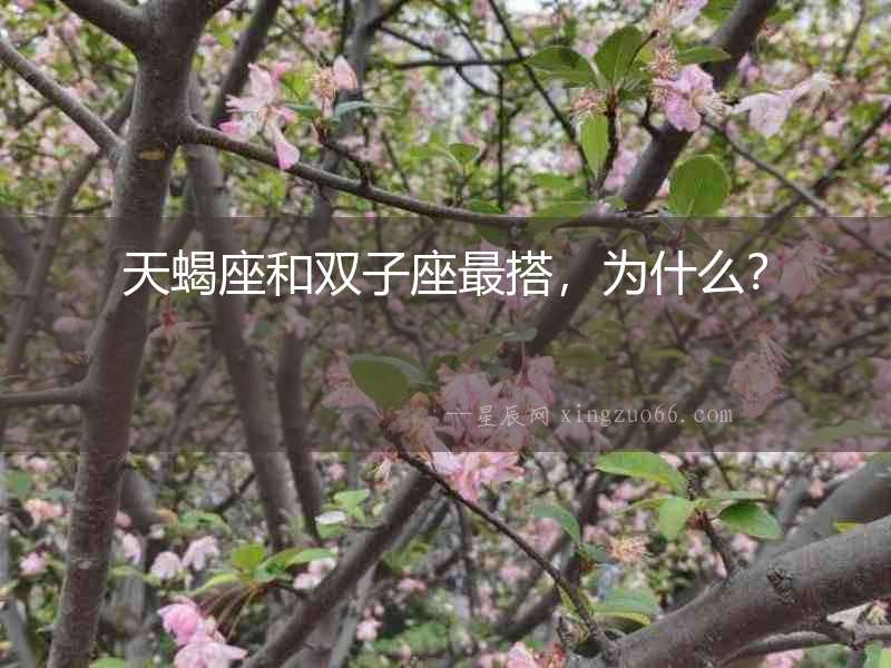 天蝎座和雙子座最搭，為什么？