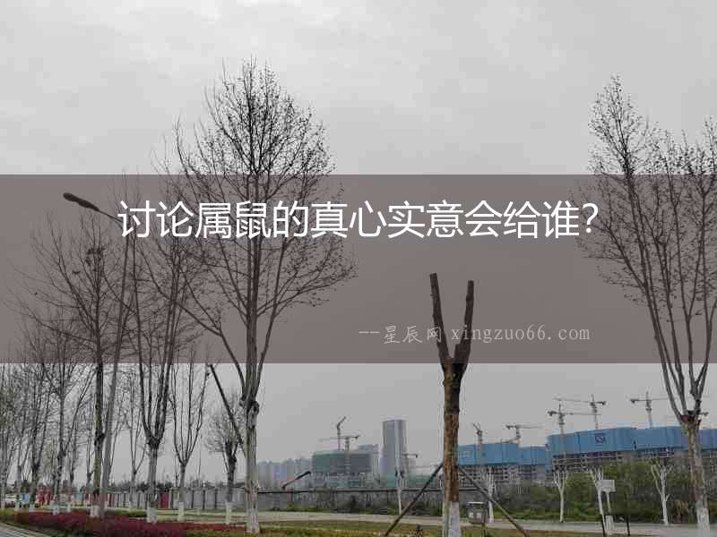 討論屬鼠的真心實意會給誰？