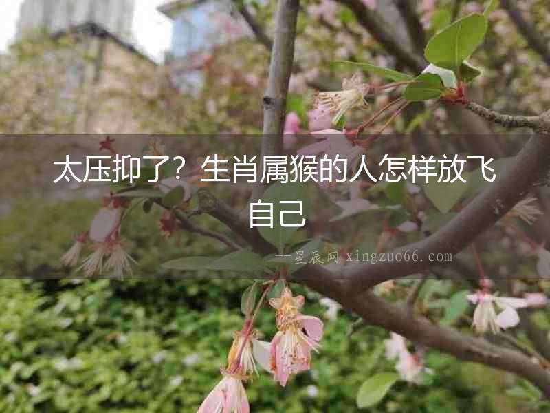太壓抑了？生肖屬猴的人怎樣放飛自己