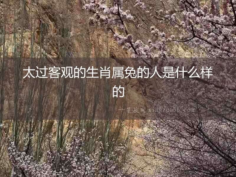 太過客觀的生肖屬兔的人是什么樣的