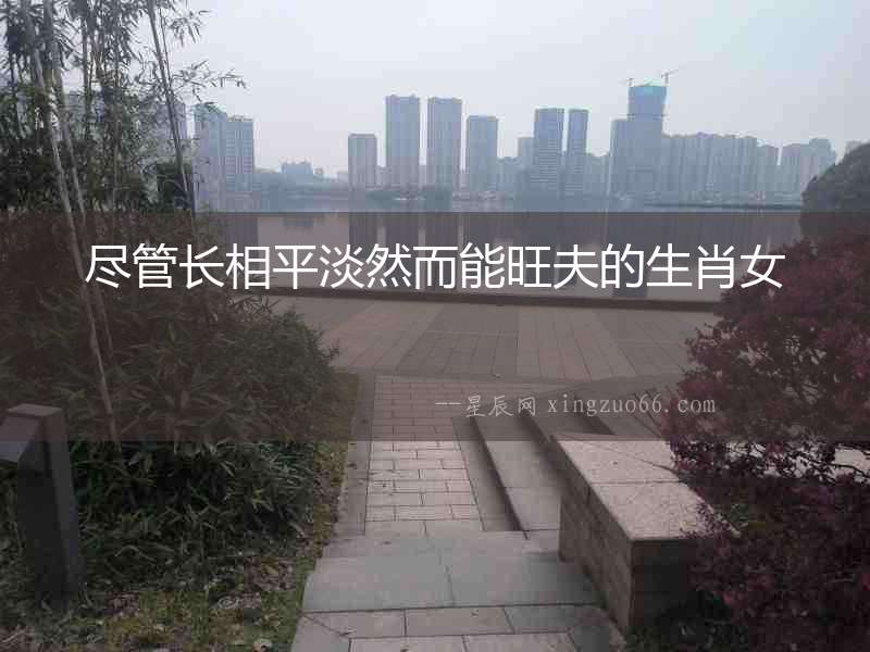 盡管長相平淡然而能旺夫的生肖女