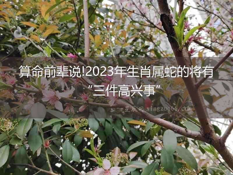 算命前輩說!2023年生肖屬蛇的將有“三件高興事”