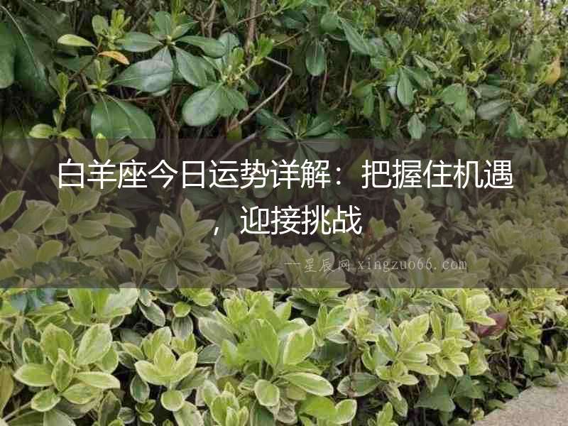 白羊座今日運勢詳解：把握住機遇，迎接挑戰